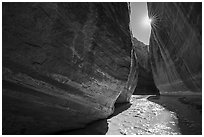 Paria River Canyon walls and sun. Paria Canyon Vermilion Cliffs Wilderness, Arizona, USA ( black and white)