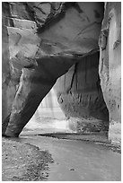 Paria River flowinng through Sliderock Arch. Paria Canyon Vermilion Cliffs Wilderness, Arizona, USA ( black and white)