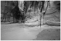 Confluence of Paria Canyon and Buckskin Gulch. Paria Canyon Vermilion Cliffs Wilderness, Arizona, USA ( black and white)