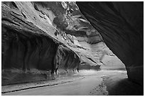 Paria River in narrow section of canyon. Paria Canyon Vermilion Cliffs Wilderness, Arizona, USA ( black and white)
