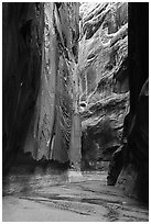 Buckskin Gulch slot canyon. Paria Canyon Vermilion Cliffs Wilderness, Arizona, USA ( black and white)