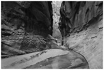 Clear waters of Buckskin Gulch at the confluence. Paria Canyon Vermilion Cliffs Wilderness, Arizona, USA ( black and white)