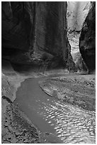 Paria River flowing in narrow canyon. Paria Canyon Vermilion Cliffs Wilderness, Arizona, USA ( black and white)
