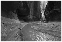 Paria River flowing between canyon walls. Paria Canyon Vermilion Cliffs Wilderness, Arizona, USA ( black and white)