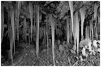 Stalactities in Mossy Cave. Utah, USA (black and white)