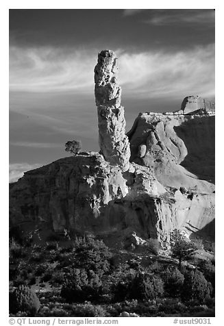 Chimney Rock, the largest sand pipe, sunset, Kodachrome Basin State Park. Utah, USA (black and white)