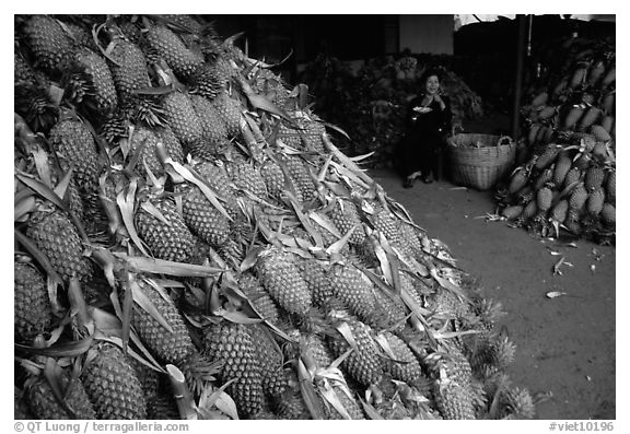 Loads of pinaaples. Cholon, Ho Chi Minh City, Vietnam (black and white)