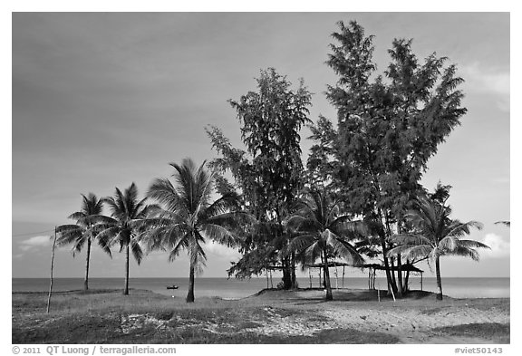 Beachfront with palm trees and huts. Phu Quoc Island, Vietnam (black and white)