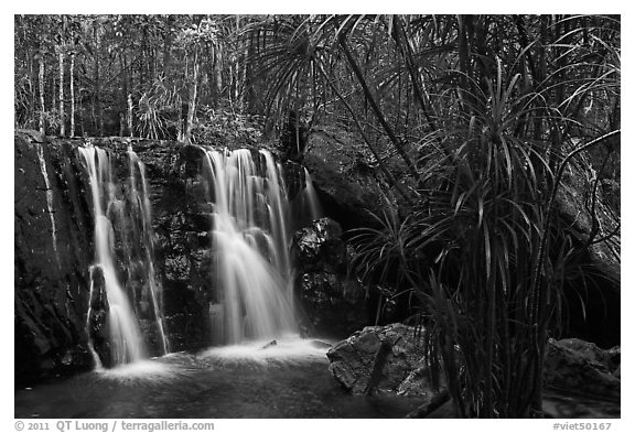 Waterfall flowing in tropical forest. Phu Quoc Island, Vietnam (black and white)