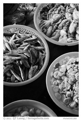 Close-up of seafood for sale in baskets, Duong Dong. Phu Quoc Island, Vietnam (black and white)