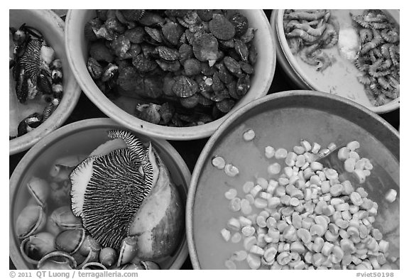 Close-up of seafood baskets, Duong Dong. Phu Quoc Island, Vietnam (black and white)