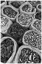 Close-up of dried foods in bags, Duong Dong. Phu Quoc Island, Vietnam (black and white)