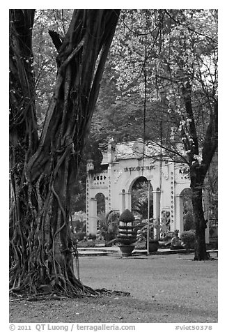 Banyan tree and gate, Cong Vien Van Hoa Park. Ho Chi Minh City, Vietnam (black and white)