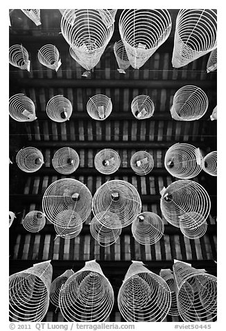 Incense coils seen from below, Thien Hau Pagoda, district 5. Cholon, District 5, Ho Chi Minh City, Vietnam (black and white)