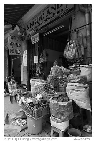 Traditional herb shop. Cholon, Ho Chi Minh City, Vietnam (black and white)