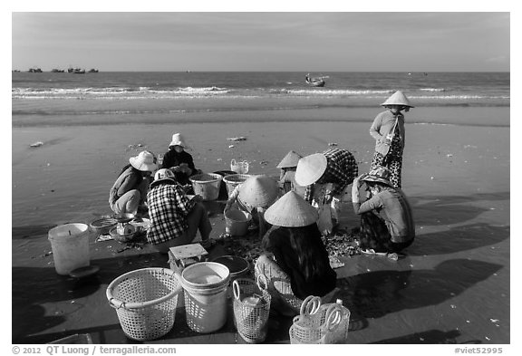 Women on beach sorting fresh catch. Mui Ne, Vietnam