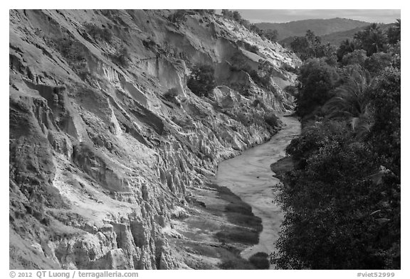 Fairy Stream, red rock, and forest from above. Mui Ne, Vietnam (black and white)