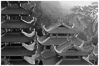 Roofs of temple and pagoda. Ta Cu Mountain, Vietnam ( black and white)
