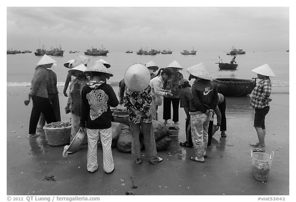 Women gathered on beach around fresh catch. Mui Ne, Vietnam