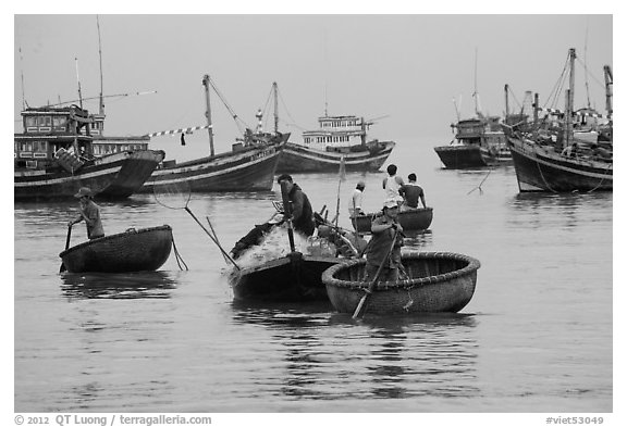 Men use round woven boats to disembark from fishing boats. Mui Ne, Vietnam