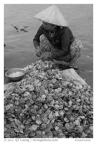 Woman opening scallops. Mui Ne, Vietnam (black and white)