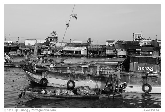 Woman steering boat with pineapple fruit, Cai Rang floating market. Can Tho, Vietnam (black and white)