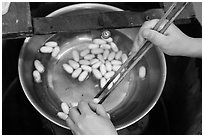 Hands handling silkworm cocoons with chopsticks. Hoi An, Vietnam ( black and white)