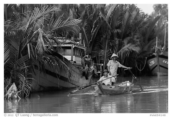 Fishermen row sampan in lush river channel. Hoi An, Vietnam (black and white)