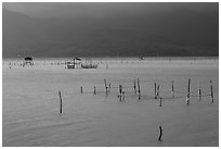 Fish traps in lagoon. Vietnam (black and white)