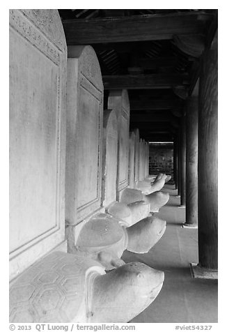 Row of stone turtles with stele backs, Temple of the Litterature. Hanoi, Vietnam