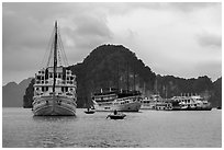 White tour boats. Halong Bay, Vietnam ( black and white)