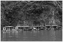 Vung Vieng fishing village. Halong Bay, Vietnam (black and white)