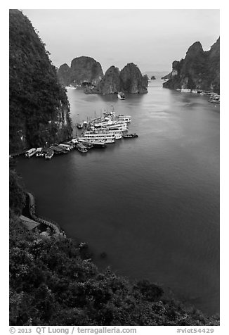 View over bay and boats from Surprise Cave exit. Halong Bay, Vietnam (black and white)