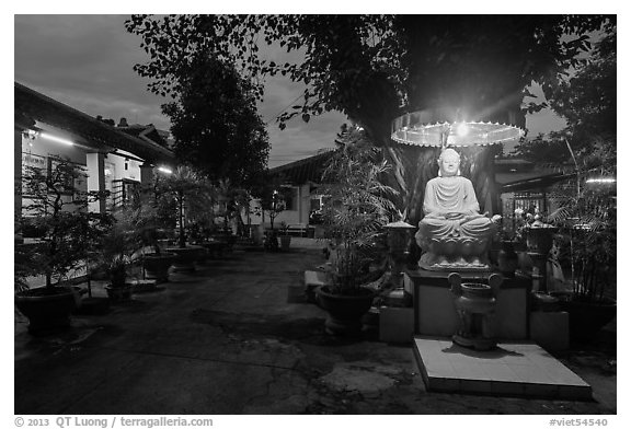 Buddha and banyan tree at dusk, Phung Son Pagoda, district 11. Ho Chi Minh City, Vietnam