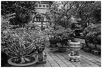 Tran Hung Dao temple gardens. Ho Chi Minh City, Vietnam (black and white)