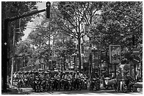 Motorcyclists on tree-lined street, district 5. Ho Chi Minh City, Vietnam (black and white)