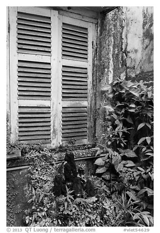 Plants and window shutters. Ho Chi Minh City, Vietnam (black and white)