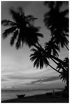 Beach at sunset with palm trees and coracle boats. Mui Ne, Vietnam (black and white)