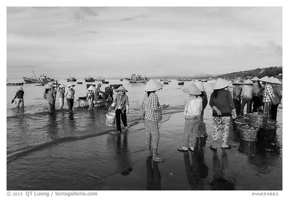 Group on beach with paniers of freshly caught shells, early morning. Mui Ne, Vietnam (black and white)