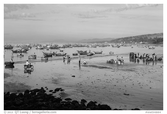 Beach and fishing fleet, early morning. Mui Ne, Vietnam (black and white)