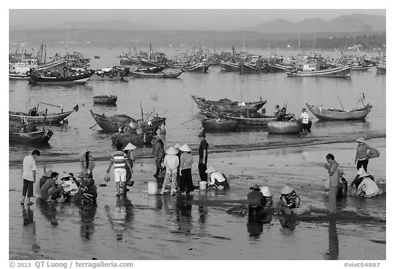 Fishermen and fish buyers on beach, early morning. Mui Ne, Vietnam