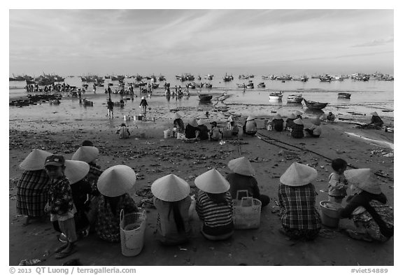Women with conical hats sit on beach as fresh catch arrives. Mui Ne, Vietnam (black and white)
