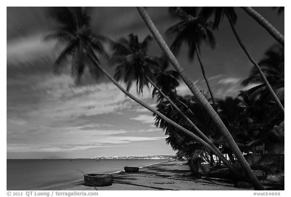 Palm-tree lined beach at night. Mui Ne, Vietnam (black and white)