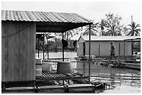 Man and dog walking across houseboats. My Tho, Vietnam ( black and white)