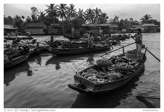 Woman paddles boat loaded with produce, Phung Diem floating market. Can Tho, Vietnam (black and white)
