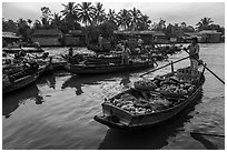 Woman paddles boat loaded with produce, Phung Diem floating market. Can Tho, Vietnam (black and white)