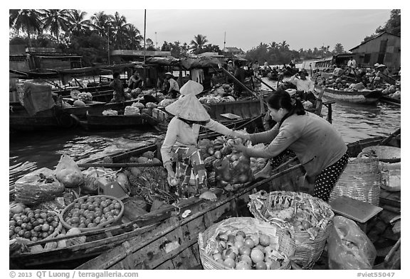 Fruit being sold from boat to boat, Phung Diem floating market. Can Tho, Vietnam (black and white)