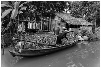 Woman unloading bananas from boat, with her house behind. Can Tho, Vietnam ( black and white)