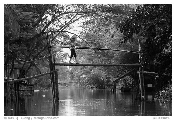 Villager crossing monkey bridge. Can Tho, Vietnam (black and white)