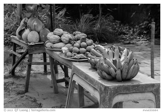 Fruit stand. Can Tho, Vietnam